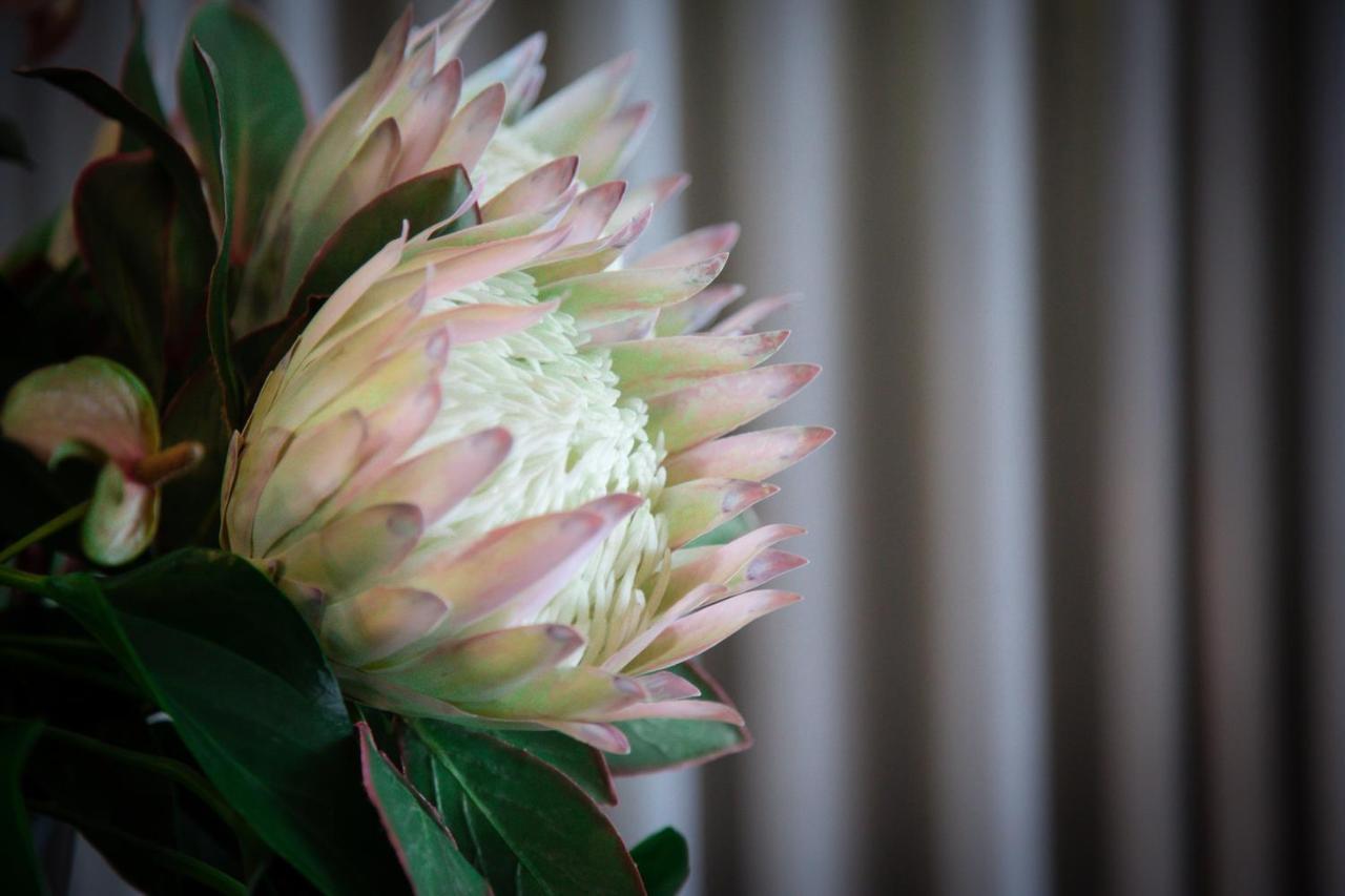 The Northcliff Boutique Hotel Johannesburg Luaran gambar